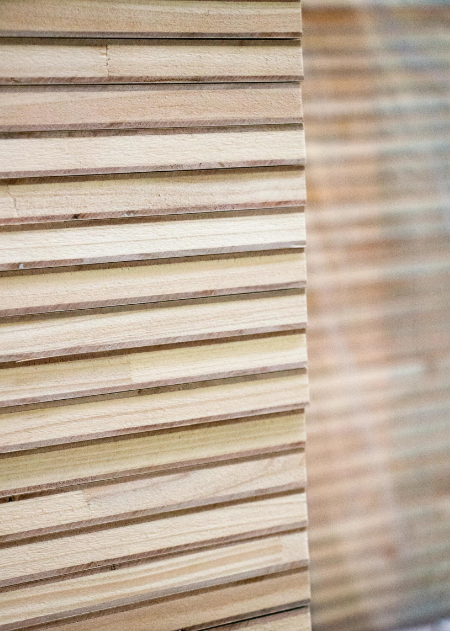 一篇睇清什麼是生態板