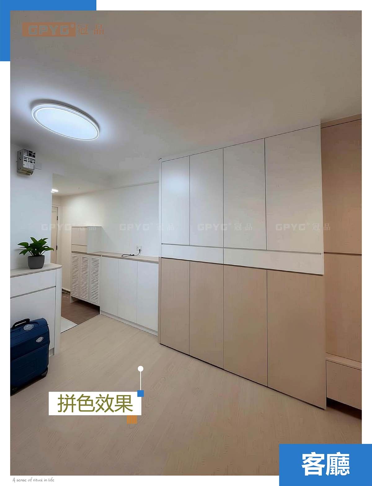 實例維景灣畔 全屋傢私簡約風案例